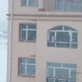 �����ѩ