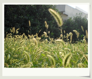 �����Լ�����Ӱ���������ԡ��Ǻ�