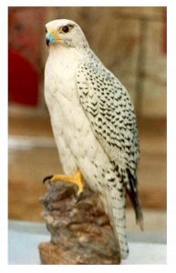 ì�� ������������Ŀ ����.jpg