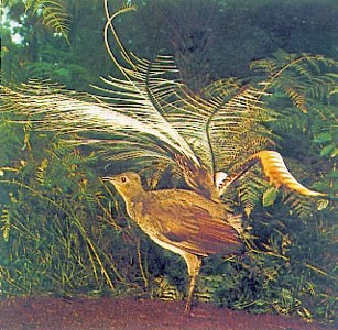 ���� �Ĵ����ǹ���.jpg