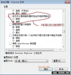 ����IE8�޷��ϴ�ͼƬ�Ľ������.jpg