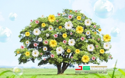 J����Ա�ֽ (55).jpg