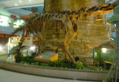 QQ��ͼ20120701080426.jpg