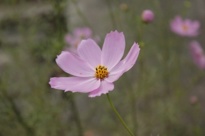 QQ��ͼ20120828083332.jpg