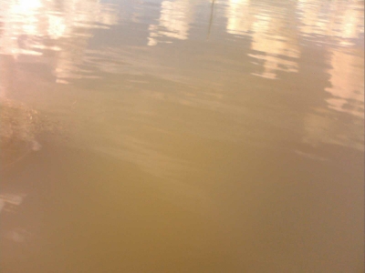 IMG0380A.jpg