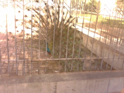 IMG0392A.jpg