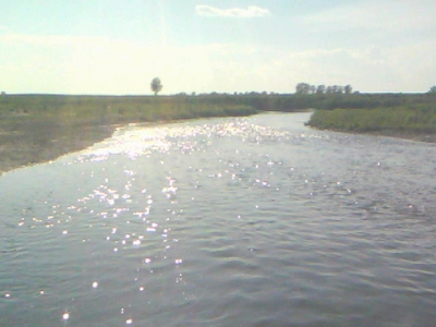 �����µ�������