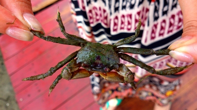 ����������