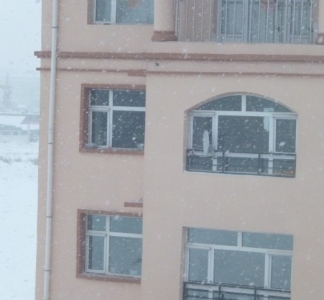 ��Ϊ��¥������ѩ�Ե���ʵ.jpg