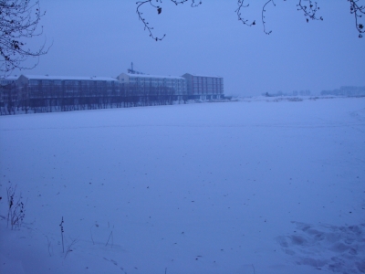 DSC02944.JPG
