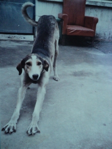 ���� (1).jpg