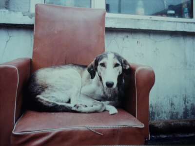 ���� (2).jpg